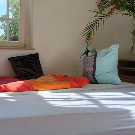 Forrest Apartments In Freiberg Min Stay 2 Nights Max Number Of Guest 1 Aprt 1 Luaran gambar