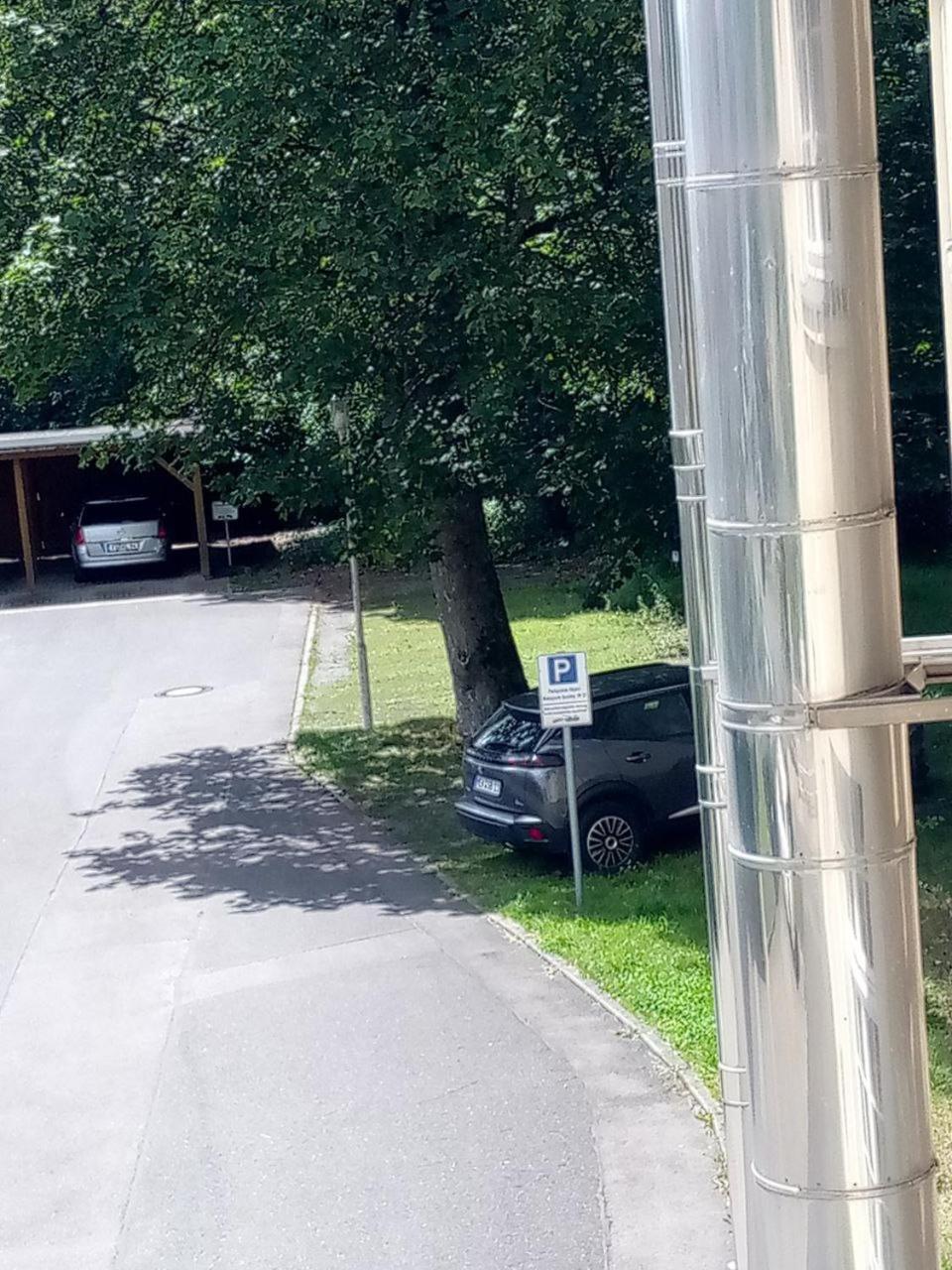 Forrest Apartments In Freiberg Min Stay 2 Nights Max Number Of Guest 1 Aprt 1 Luaran gambar